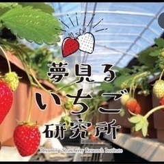 わんちゃんも同伴出来るいちご狩り🍓