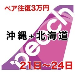 ✈️北海道行きペア往復チケット