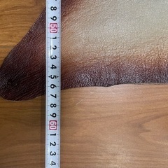 イラン製 羊革 レザー コレクション ペルシャ 中古品