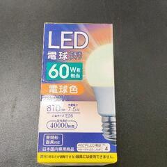 0117-025 LED電球