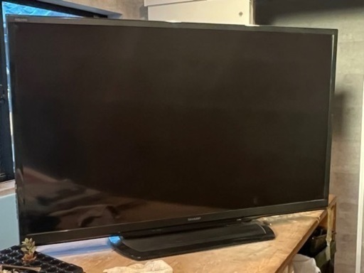 液晶テレビ SHARP AQUOS W10 LC-46W10