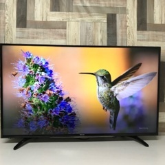 即日受渡❣️全国送料込東芝40型液晶テレビYouTube視聴可Wチューナー搭載 即日受渡❣️49型Wチューナー搭載裏番組録画可能26500円