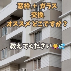 マンション 窓枠 ガラス窓 交換 どこに頼めば良いですか？