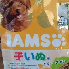 アイムズ 子犬用 餌