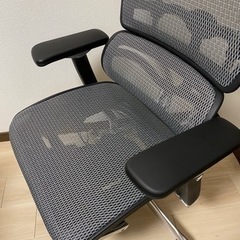 エルゴヒューマンプロ オットマン（2022年9月購入）