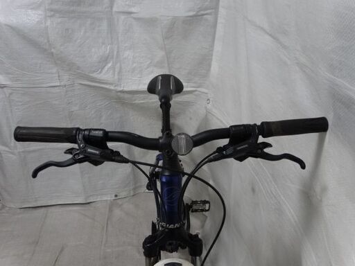 GIANT（ジャイアント）ROAM2 （ロアム 2）マウンテンバイク 管理NO