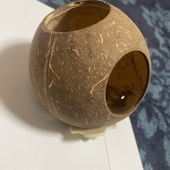 モモンガ ケージセット