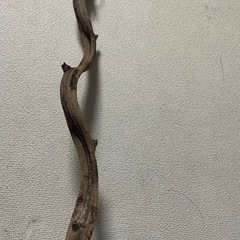 モモンガ ケージセット