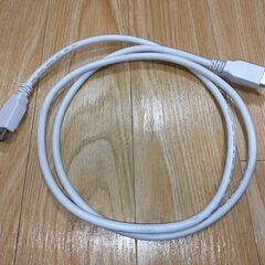 LG DisplayPort DPケーブル 1.49m