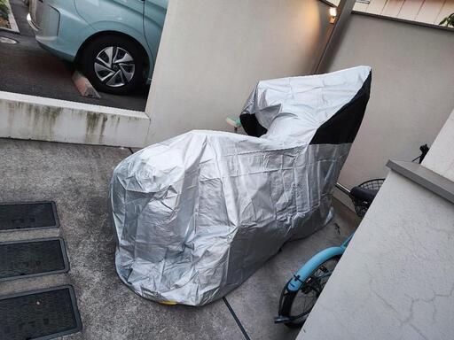 週末特価！値下げ中　レブル250 Sエディション　低走行　超美品　値段交渉可