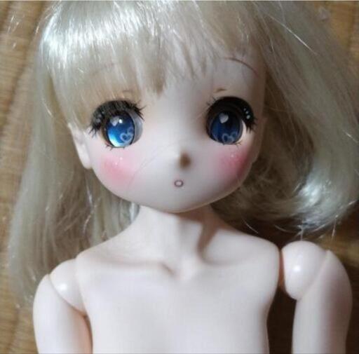 MDD ドルフィードリーム