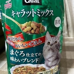 猫のエサ、未開封の小袋5袋まとめて！