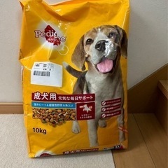 中型犬用ペットフード