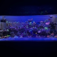 120cm 水槽　セット