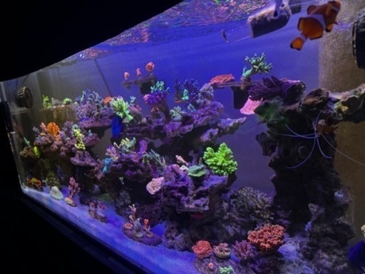 120cm 水槽　セット