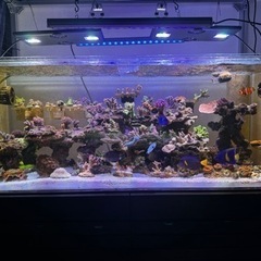 120cm 水槽　セット