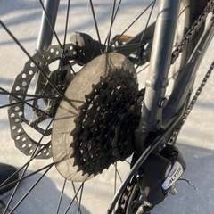 ジャイアント　グラビエ