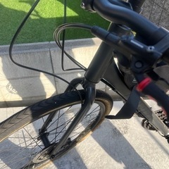 ジャイアント　グラビエ