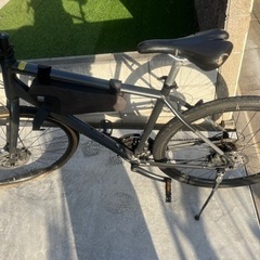 ジャイアント　グラビエ