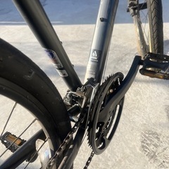 ジャイアント　グラビエ