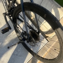 ジャイアント　グラビエ