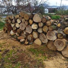 丸太 その他の中古が安い！激安で譲ります・無料であげます(26  