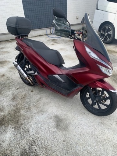 ホンダ pcx jf81