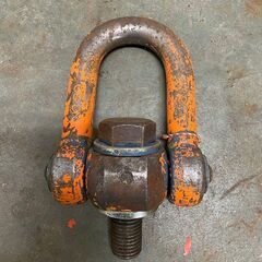 マルチアイボルト WLL/5.8T No.30 SCM435 2個セット