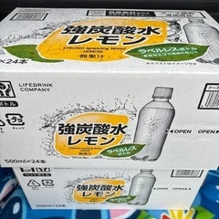 激安　レモン炭酸水　24本　