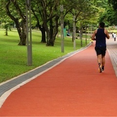 近場の公園orジムでトレーニングしませんか？🏃🏼🏋🏻‍♀️🤸🏽‍♂️