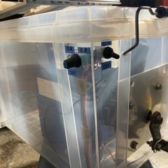 電動シャクリ機 ニシンやチカ釣りにいかがですか