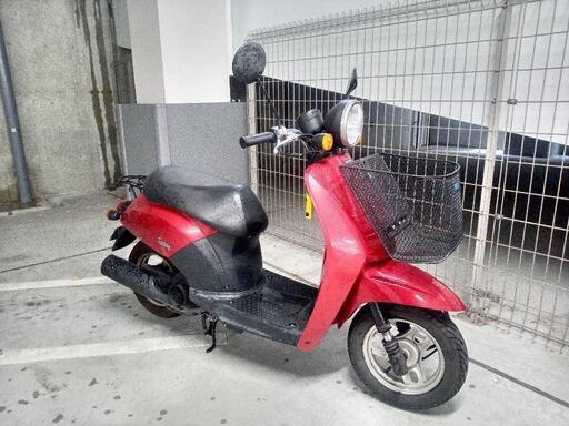 【自賠責付き＆配送可能】ホンダ　トゥデイ　レッド　ワンオーナー　原付　50cc　バイク　スクーター