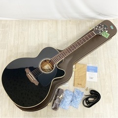 【美品】Takamine タカミネ エレアコ ギター TDP56...