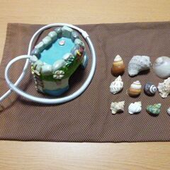 ★★ ヤドカリ ヒーターと 貝殻