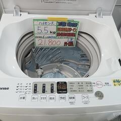 配送可【Hisense】5.5k洗濯機★2023年製　分解クリーニング済/6ヶ月保証付　管理番号11801