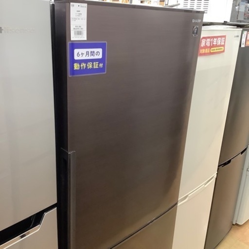 【トレファク摂津店】SHARP(シャープ)2ドア冷蔵庫2019年製が入荷致しました！！
