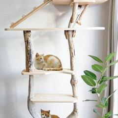 猫カフェキャットタワー流木『森部屋』高さ172cm