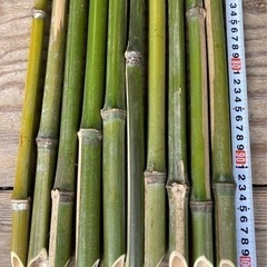 【100cm】農業・園芸用竹支柱