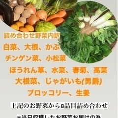 東温農園【無農薬】【農家直送】気まぐれお野菜詰め合わせ♪♪