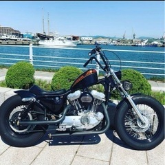 【ネット決済・配送可】Harley‐Davidson スポーツス...