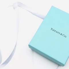 【期間限定】TIFFANY&Co.激レア⭐︎tスマイルネックレス...