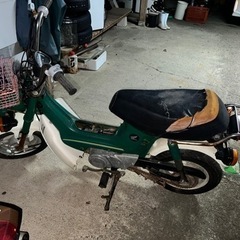 急ぎ！ホンダ　シャリー