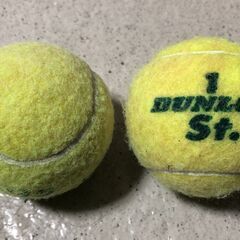 硬式テニスボール（2個）