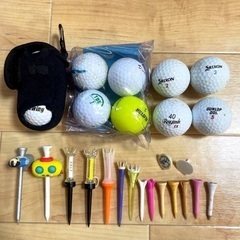 ゴルフクラブ11本セット・レディース【adidas キャディバッグ 付き】