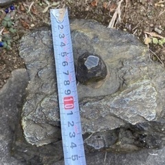 ◎お値下げしました‼️ 【断捨離中】 早い者勝ち‼️ 逸品 時代