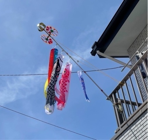 【美品】鯉のぼり　ベランダ　旭天竜　五月人形