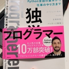 📗新品独身プログラマー本売ります‼️📕