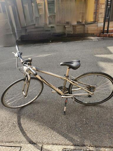 Cannondale 訳あり 本日（1/19）限定 cannondale 訳アリ