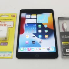 iPad mini 第4世代 Wi-Fi+Cellular 12...