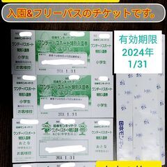 【ネット決済・配送可】日本モンキーパーク ワンデーパスポート　 ...